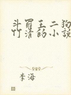 斗罗王二狗和朱竹清的小说