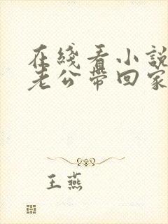 在线看小说国民老公带回家