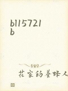 bl15721b