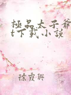 极品太子爷txt下载小说