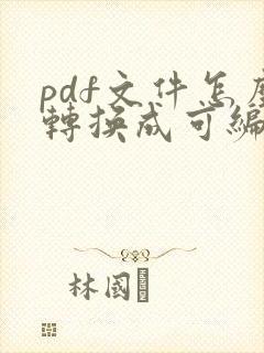 pdf文件怎么转换成可编辑文件