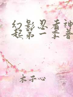 幻影忍者神龙崛起第一季普通话