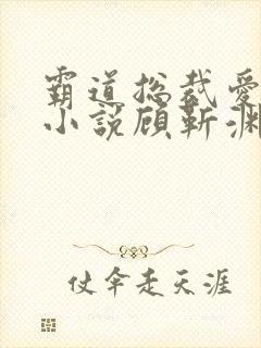 霸道总裁爱上我小说顾靳渊