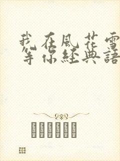 我在风花雪月里等你经典语录