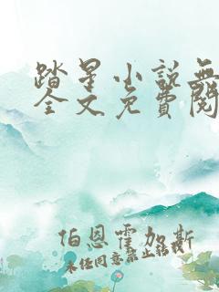 踏星小说无弹窗全文免费阅读