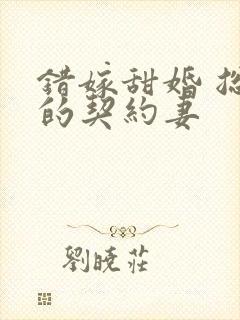 错嫁甜婚 总裁的契约妻