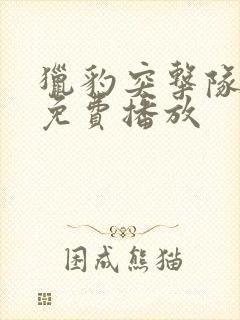 猎豹突击队电影免费播放