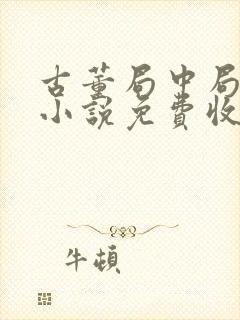 古董局中局有声小说免费收听