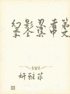 幻影忍者第10季全集中文版