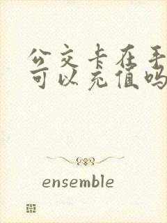 公交卡在手机上可以充值吗