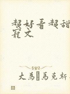 超好看超甜的甜宠文