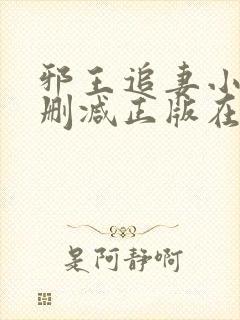 邪王追妻小说无删减正版在线阅读