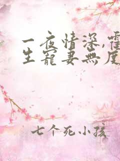 一夜情深,霍先生宠妻无度小说版