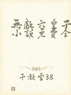 无敌六皇子云铮小说免费全集