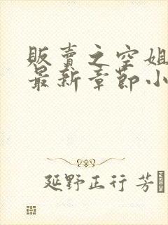 贩卖之空姐许静最新章节小说