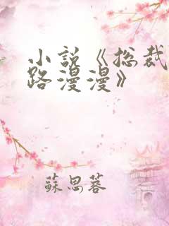 小说《总裁追妻路漫漫》