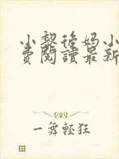 小黎后妈小说免费阅读最新章节更新