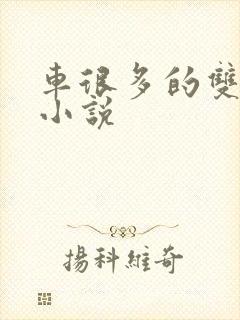 车很多的双男主小说