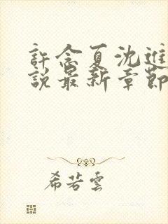 许念夏沈进舟小说最新章节更新内容