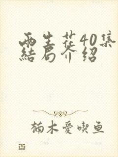 两生花40集大结局介绍