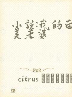 小说:我的白富美老婆