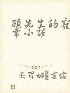 顾先生的宠妻日常小说