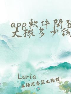 app软件开发大概多少钱