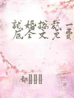 试婚总裁一宠到底全文免费阅读