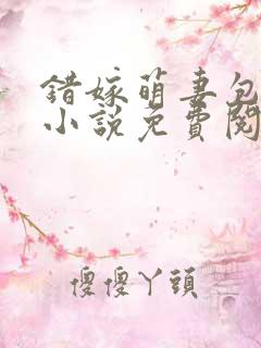 错嫁萌妻包甜的小说免费阅读