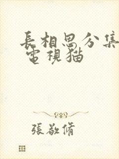 长相思分集介绍 电视猫