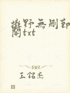 撒野无删节笔趣阁txt