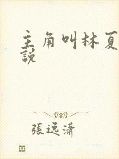 主角叫林夏的小说