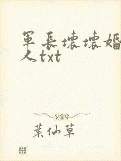 军长坏坏婚宠撩人txt