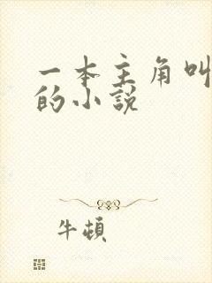 一本主角叫林凡的小说