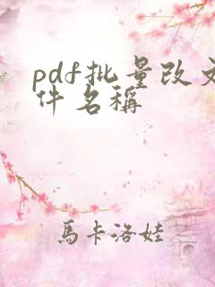 pdf批量改文件名称