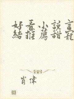 好看小说言情完结推荐甜宠文