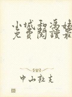 小城和冯姨小说免费阅读最新章节