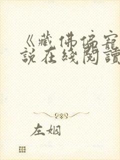 《藏佛偏宠》小说在线阅读