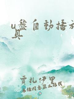 u盘自动播放工具