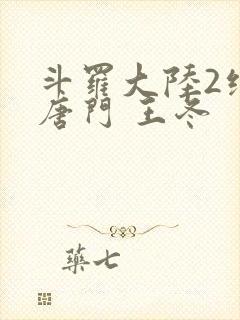 斗罗大陆2绝世唐门 王冬