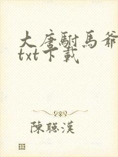 大唐驸马爷全文txt下载