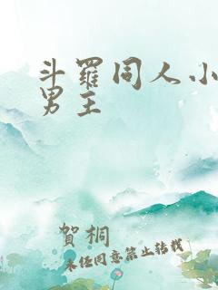 斗罗同人小说双男主