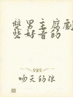 双男主腐剧有哪些好看的