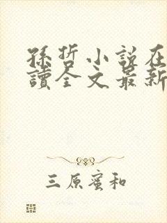 孙哲小说在线阅读全文最新