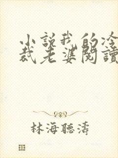 小说我的冷艳总裁老婆阅读