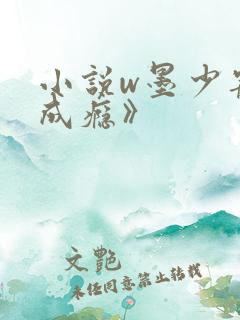 小说w墨少宠妻成瘾》