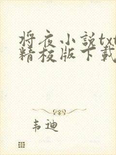 将夜小说txt精校版下载