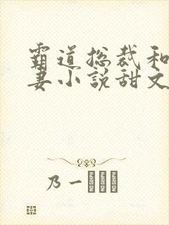 霸道总裁和小娇妻小说甜文