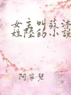 女主叫苏沐男主姓陆的小说