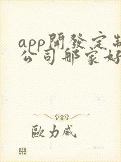 app开发定制公司那家好